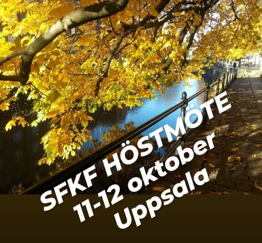 H&ouml;stm&ouml;te bild 1.jpg